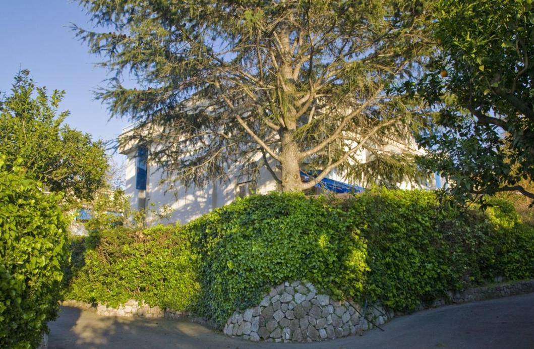 Villa Francesca Sorrent Exterior foto